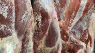 Реализация оптом, мясо ЦБ, свинина, говядина, баранина