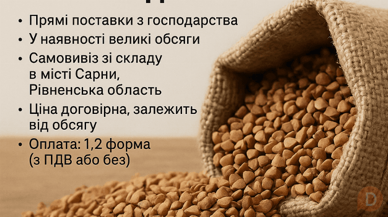 Гречка гуртом від виробника — прямі поставки, від 5 тонн Ровно - изображение 1