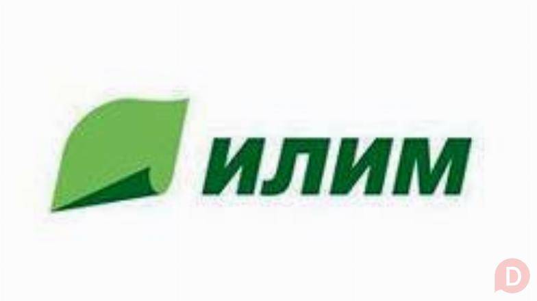 Группа «Илим» реализует неликвиды своих предприятий St. Petersburg - изображение 1
