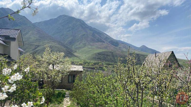 Продаётся Дачный участок 4.71 сотки за селом Кой-Таш. Дорого. Bishkek - изображение 1