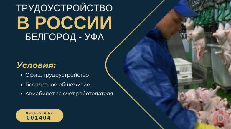 Трудоустройство в России — Белгород и Уфа! Идёт набор сотрудников Bishkek - изображение 1