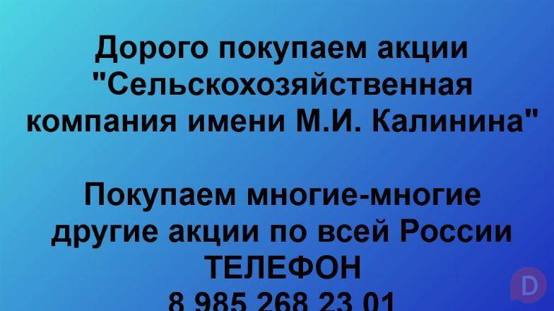 Покупаем акции «СК имени М.И. Калинина». Оплата сразу! Лучшая цена Краснодар - изображение 1