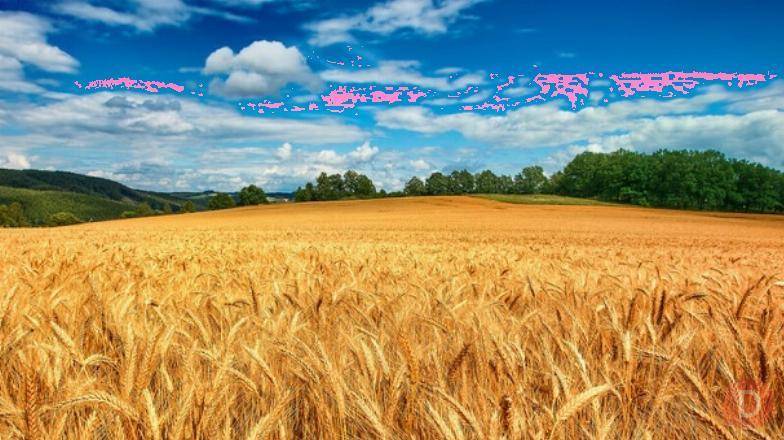 Купуємо зерновідходи, некондицію та побічні продукти Киев - изображение 1