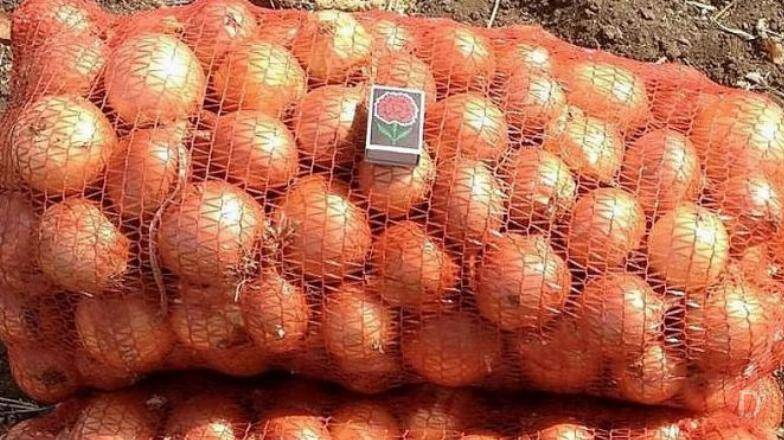 Овощи для борща оптом Хабаровск - изображение 1