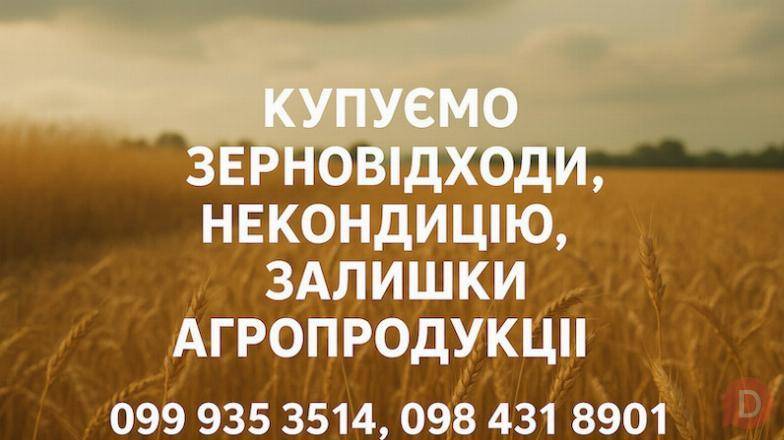 Закупівля некондиційного зерна та побічної агропродукції Полтава - изображение 1