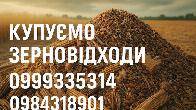 Закуповуємо некондиційну с.г. продукцію та зерновідходи
