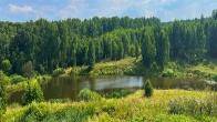 Лесной участок по Ярославскому шоссе Продается земельный участок с