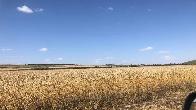 Продажа земли сельхозназначения 44 ГА Ставропольский край