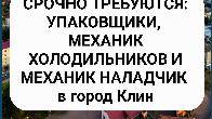 Срочно требуются: упаковщики, механик холодильников и механик наладчик