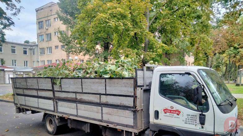 Вывоз мусора, подъем материала, грузчик, грузоперевозки Одеса Одесса - изображение 1