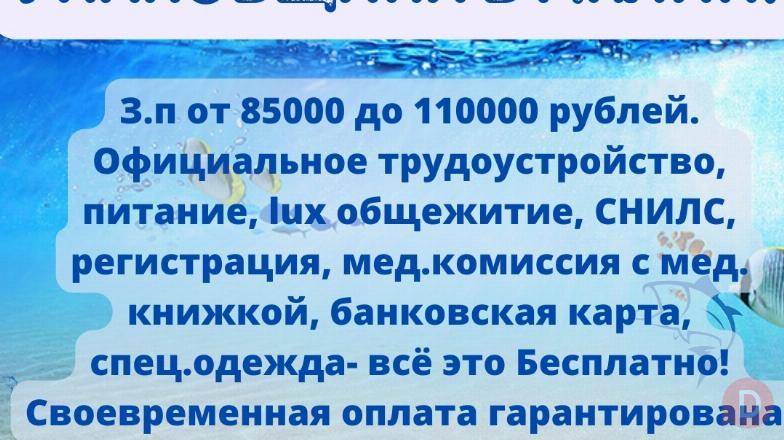 Требуются упаковщики в город Клин. Bishkek - изображение 1