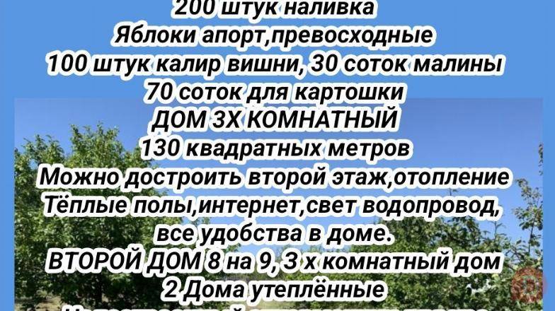 Продается сад 5 га. Курортная зона Иссык-Куль, с.Ананьево Karakol - изображение 1