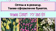 Свежие тюльпаны и ароматные фрезии прямо из теплицы. Оптом и в розницу