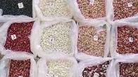 Сортова квасоля гуртом — великий вибір сортів, висока якість продукції