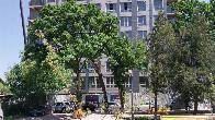Продаю 2-комнатную квартиру, ПСО, Ахунбаева/Чапаева, б/п