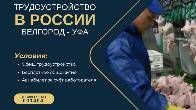 Трудоустройство в России — Белгород и Уфа! Идёт набор сотрудников