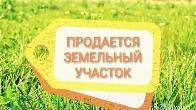 Продам земельный участок сельскохозяйственного назначения.