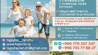 Отель "Тагайтай - Тамчы"