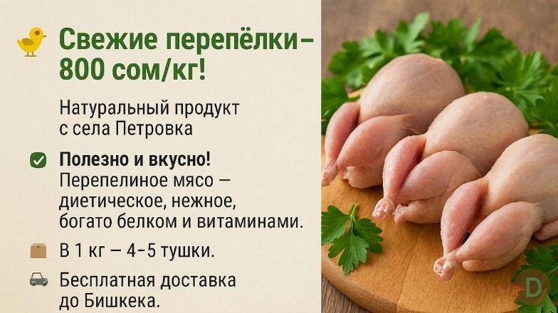 Свежие перепёлки – 800 сом/кг! Натуральный продукт Бишкек - изображение 1