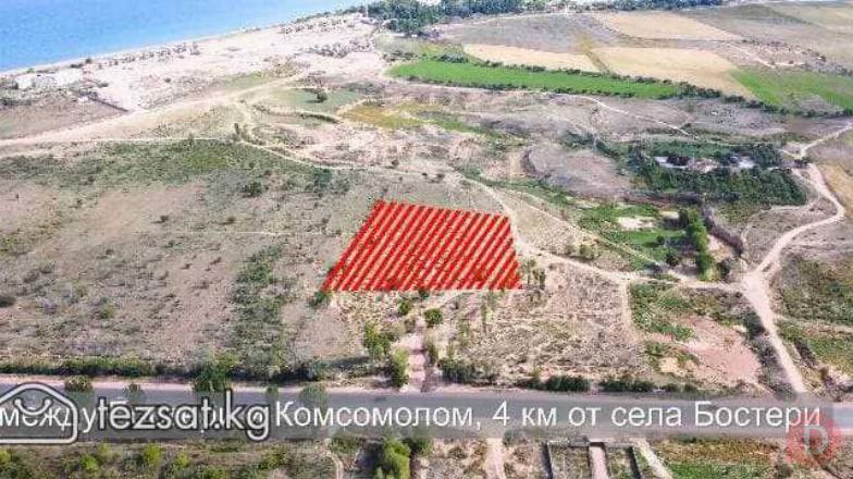 Участок 1.5 Га (150 соток) на северном берегу Иссык-Куля Бишкек - изображение 1