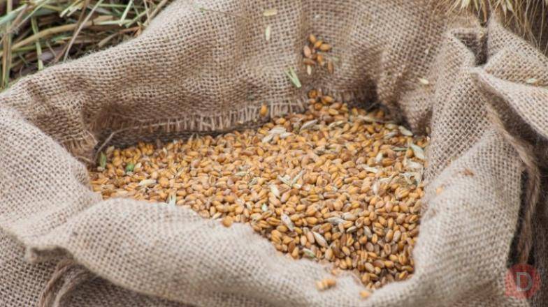 Постійно закуповуємо зерновідходи та некондиційну агропродукцію Киев - изображение 1