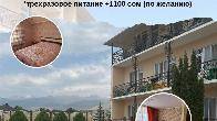 Мечтаете об отдыхе прямо у пляжа? Корпус Альбатрос пансионата Островок