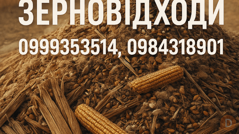Постійно купуємо зерновідходи, некондицію Полтава - изображение 1