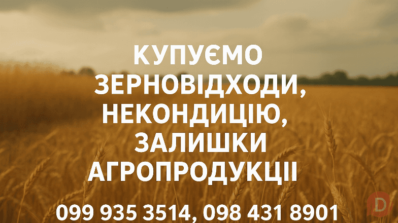 Купуємо зерновідходи, некондицію та залишки Полтава - изображение 1