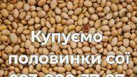 Купуємо половинки сої. Самовивіз