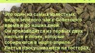 Целебные экзотические чаи и купажи