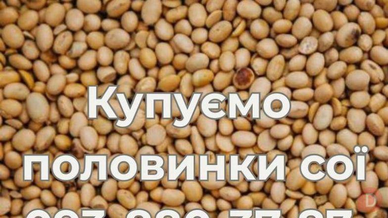 Постійно купуємо половинки сої Луцк - изображение 1