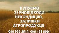 Купуємо некондиційне зерно та побічні продукти