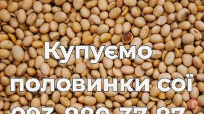 Купуємо половинки сої з господарств України Луцк - изображение 1