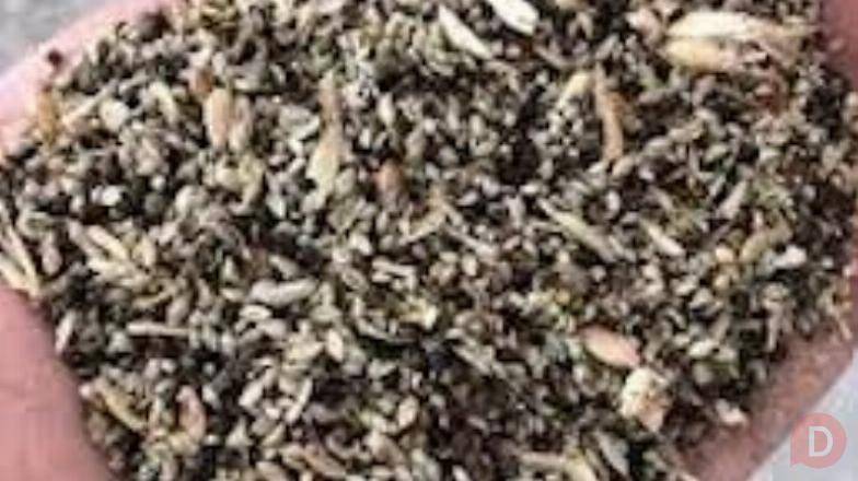 Закупівля зерновідходів та некондиційної сільгосппродукції Полтава - изображение 1