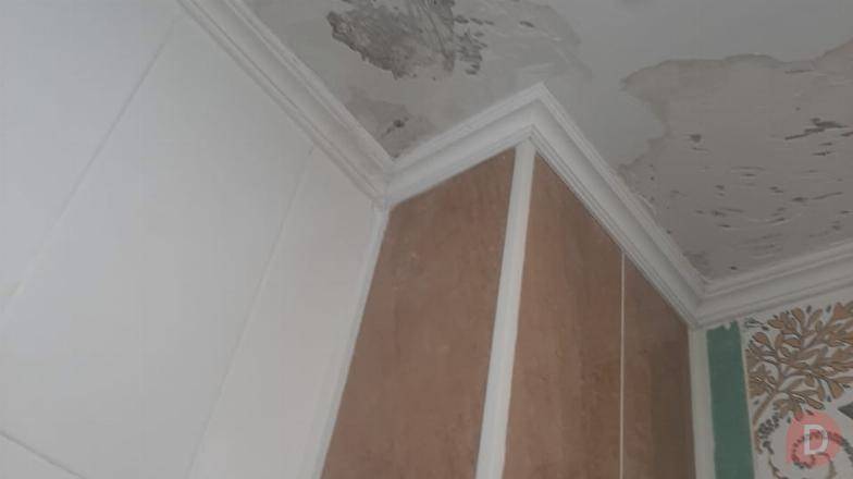 Мелкий ремонт покраска побелка Almaty - изображение 1