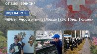 Работа на ферме в Швейцарии