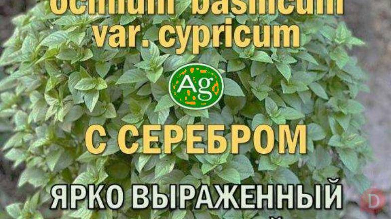 Гидролаты и функциональные купажи ProGynuru — сила тропических растени Краснодар - изображение 1