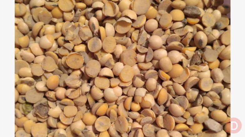 Закуповуємо половинки сої по Україні Запорожье - изображение 1