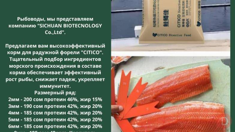 Корм для радужной форели "CITICO" Bishkek - изображение 1