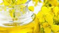 Масло рапсовое, рафинированное дезодорированное от производителя