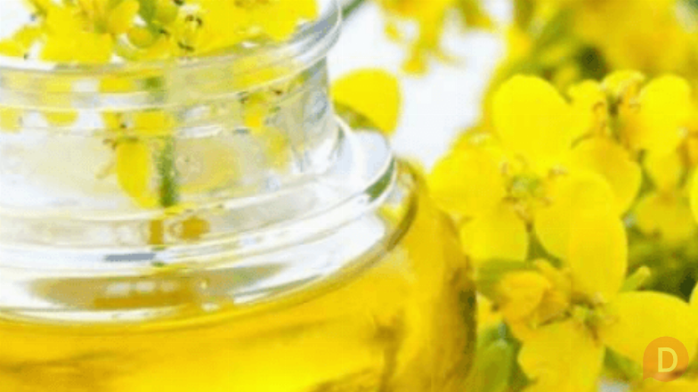 Масло рапсовое, рафинированное дезодорированное от производителя Москва - изображение 1