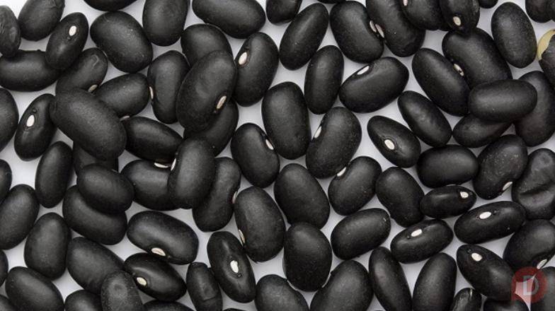 Купити квасолю. Квасоля в наявності. Продаж квасолі. Кировоград - изображение 1