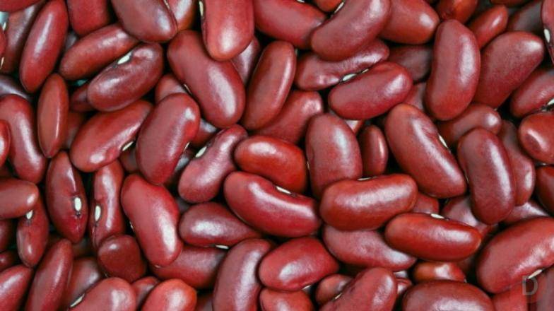 Високоякісна квасоля оптом Одесса - изображение 1