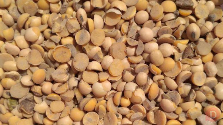 Купуємо половинки сої по Україні Черкассы - изображение 1