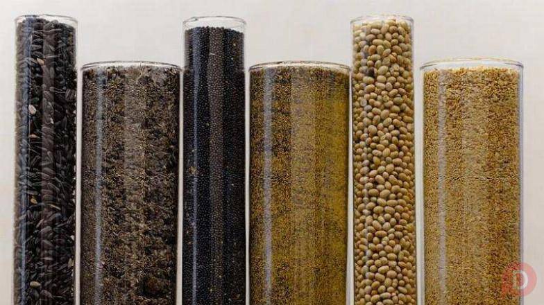 Шрот подсолнечный 37-38 на АСВ Смоленск - изображение 1