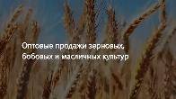 ООО Агропром - оптовая реализация продуктов питания экспорт