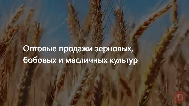 ООО Агропром - оптовая реализация продуктов питания экспорт Москва - изображение 1