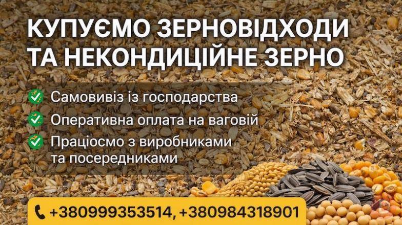 Закупівля некондиційного зерна і відходів зернових, олійних, бобових Днепропетровск - изображение 1