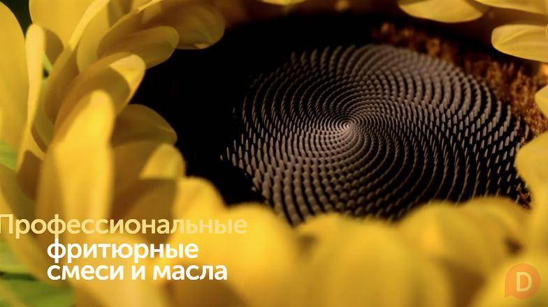 SolPro - промышленные жиры и маргарины Белгород - изображение 1