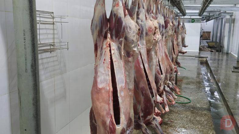 Баранина Говядина Оптом Киев - изображение 1